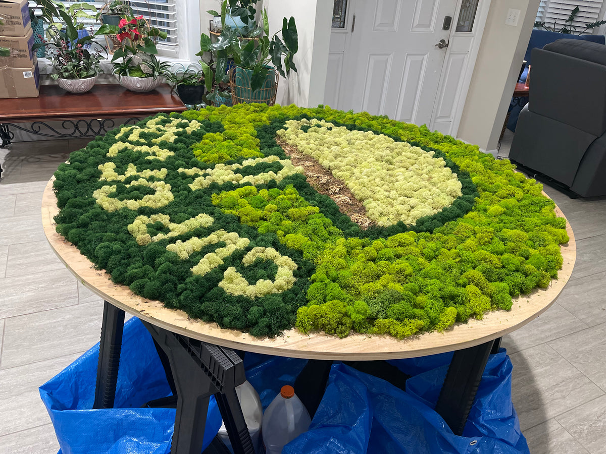 Moss Wall Creation Consultation – Gardenista Jax