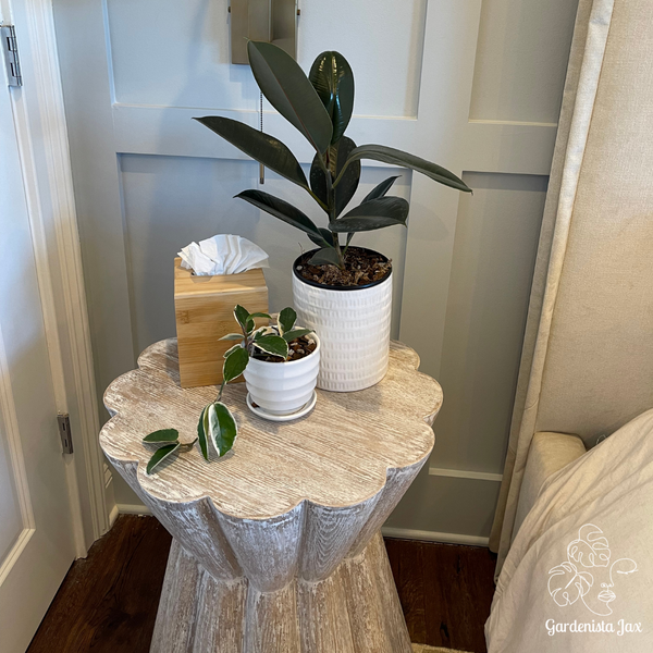 Interior Planter Creations Gallery