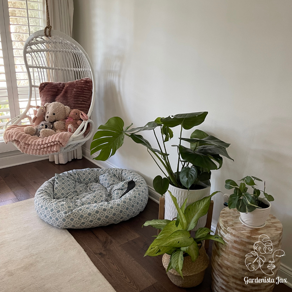 Interior Planter Creations Gallery