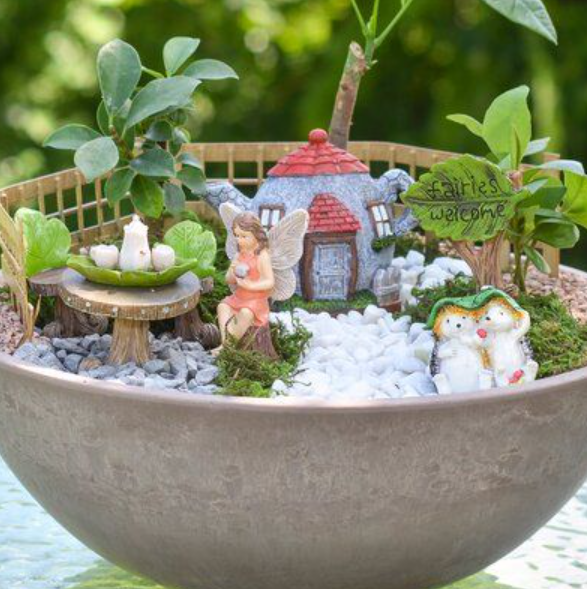 6/21 2025: Mommy and Me Fairy Garden Workshop 2