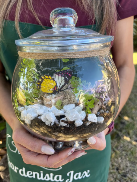 8/10  Enclosed Terrariums Workshop with Phi Eco Salon