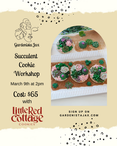 Succulent Cookies Workshop with Little Red Cottage Cookies