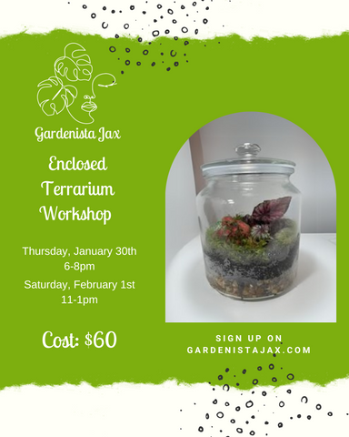 1/30 2024: Enclosed Terrariums Workshop