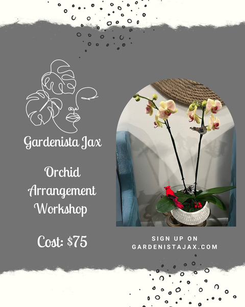 5/10 May 2025: Orchid Centerpiece Arrangement Workshop