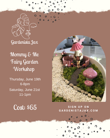 6/19 2025: Mommy and Me Fairy Garden Workshop