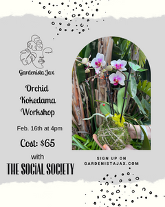 Orchid Kokedama Ball Workshop with Social Society