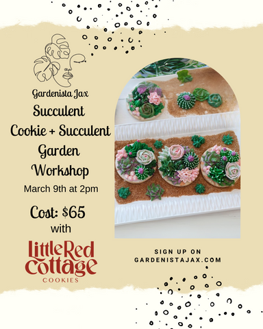 3/9 Succulent Cookies Workshop with Little Red Cottage Cookies